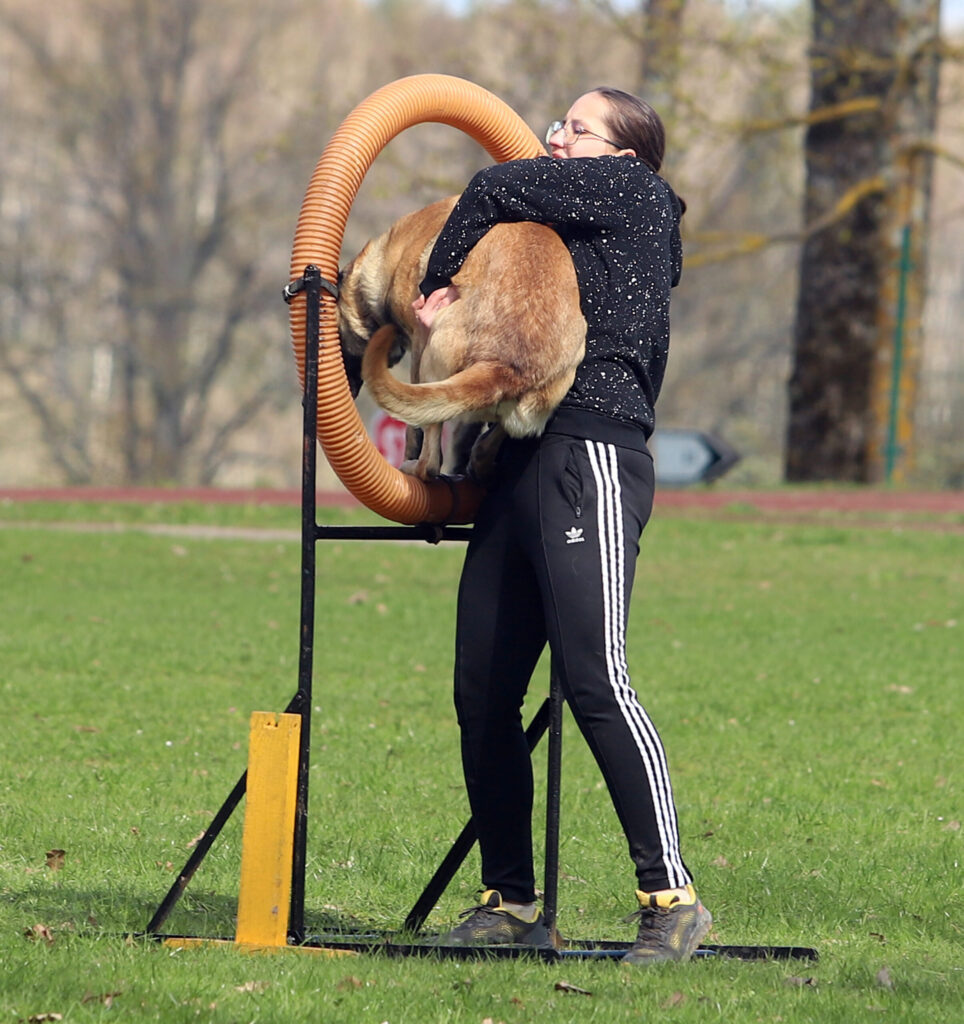 Autors: Foto: Gatis Bogdanovs