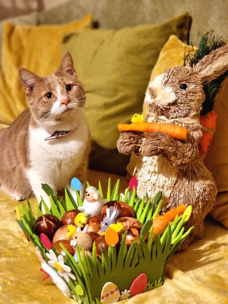 Autors: Foto: Ineta Dauksa