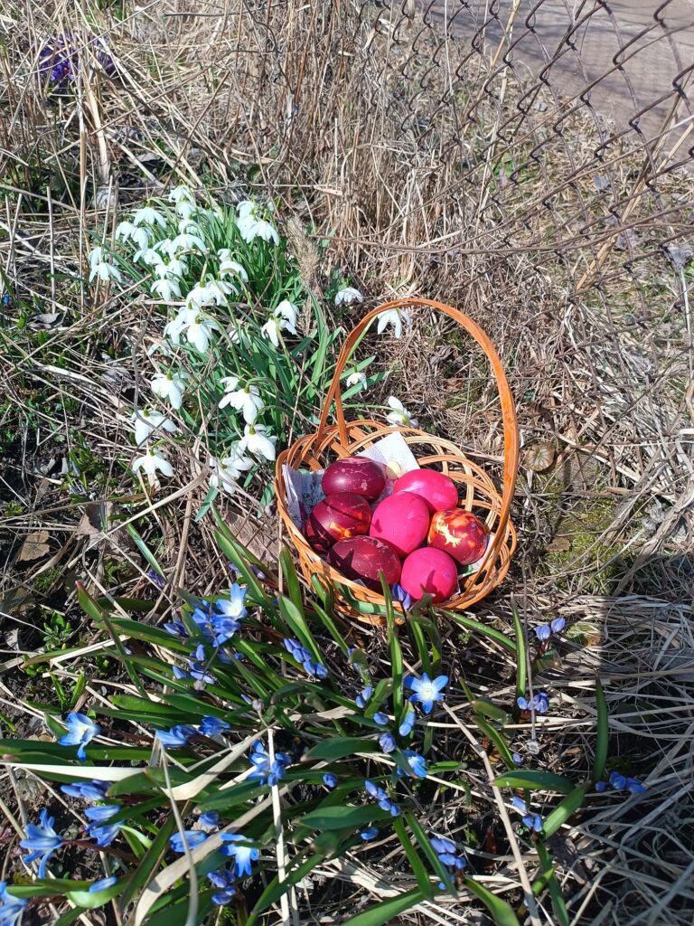 Autors: Foto: Kristīne Dimitrijeva