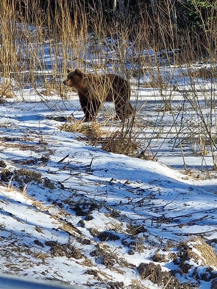 Autors: Līga Vītola.