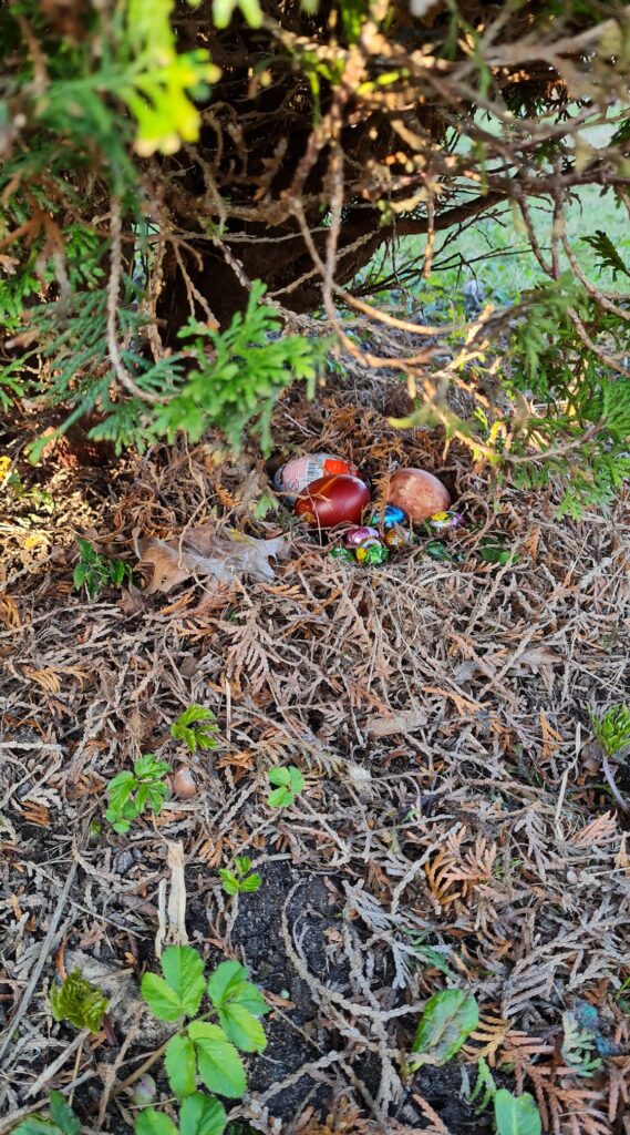 Autors: Foto: Līga Āboliņa