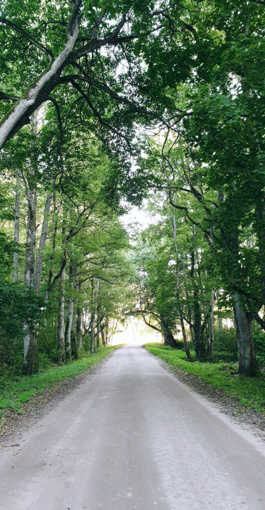 “Visvairāk atklāju melnalkšņus, tostarp vienu īpašu šīs sugas aleju, ko līdz tam neviens nebija pamanījis.” saka Lāsma.
Autors: Foto no personiskā arhīva