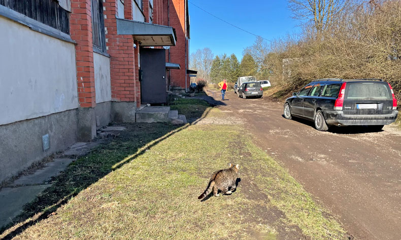 Aluksniesiem.lv raksta attēla aizvietotājs