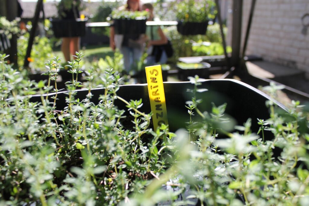 Autors: Publicitātes foto 