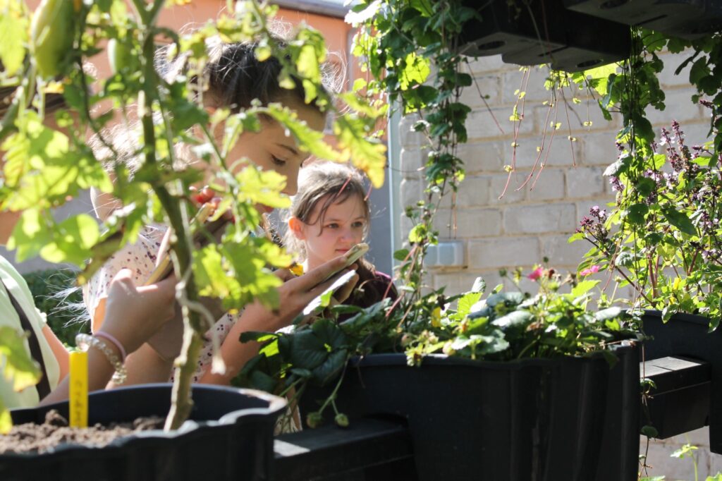 Autors: Publicitātes foto 