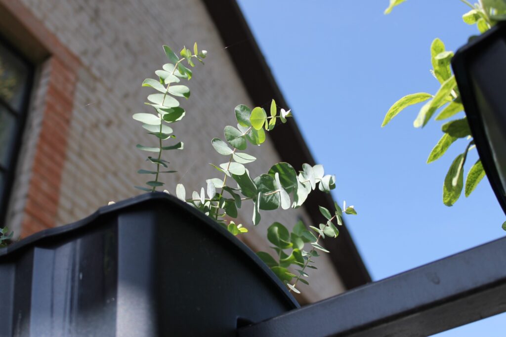 Autors: Publicitātes foto 