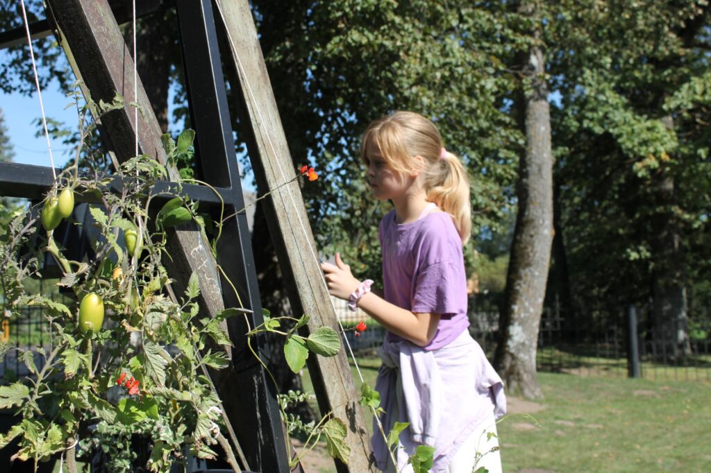 Autors: Publicitātes foto 