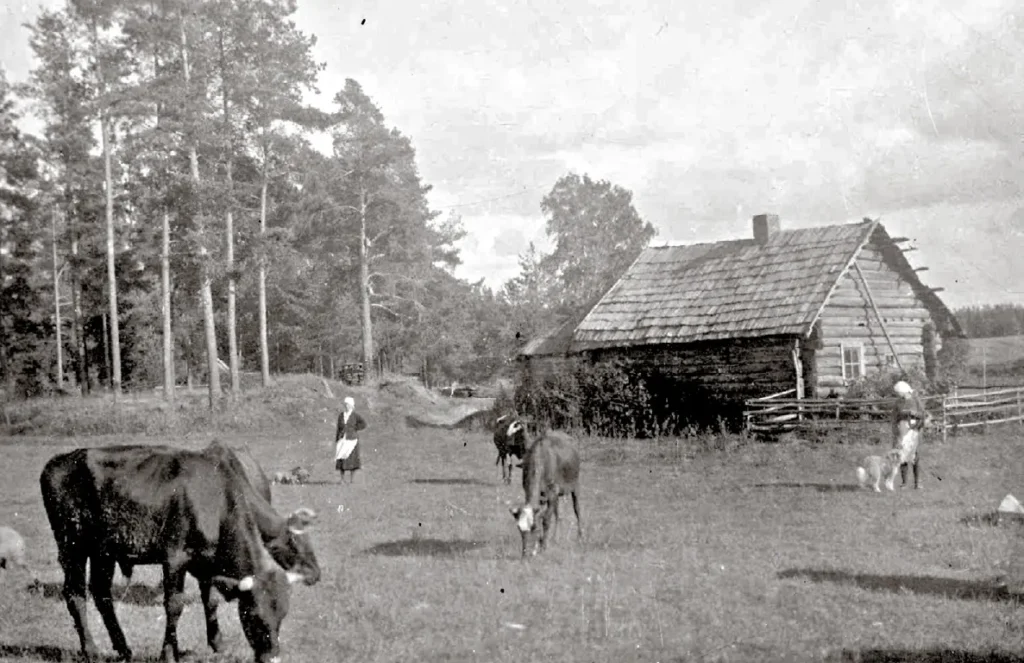 Aluksniesiem.lv raksta attēla aizvietotājs