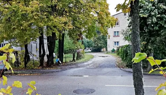 Aluksniesiem.lv raksta attēla aizvietotājs