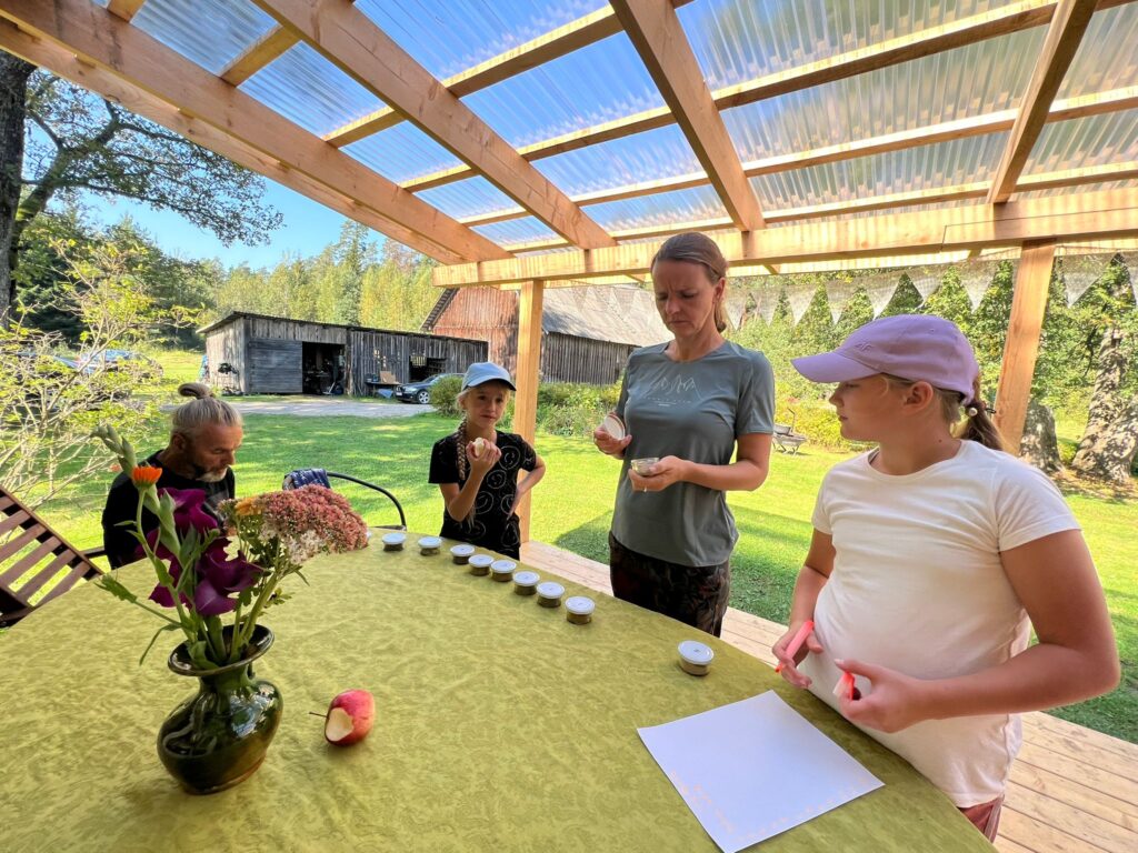 Aluksniesiem.lv raksta attēla aizvietotājs