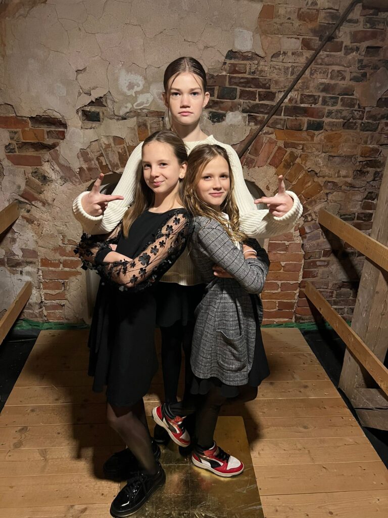 Aluksniesiem.lv raksta attēla aizvietotājs