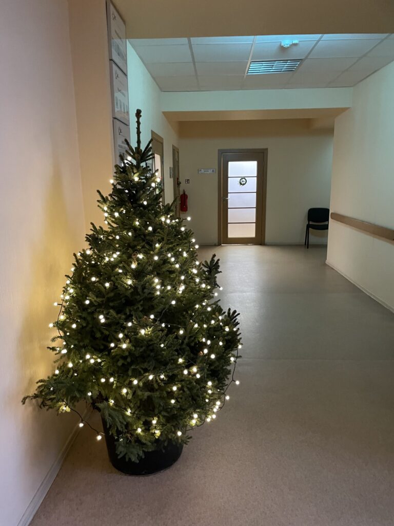 Autors: Foto: Diāna Odumiņa