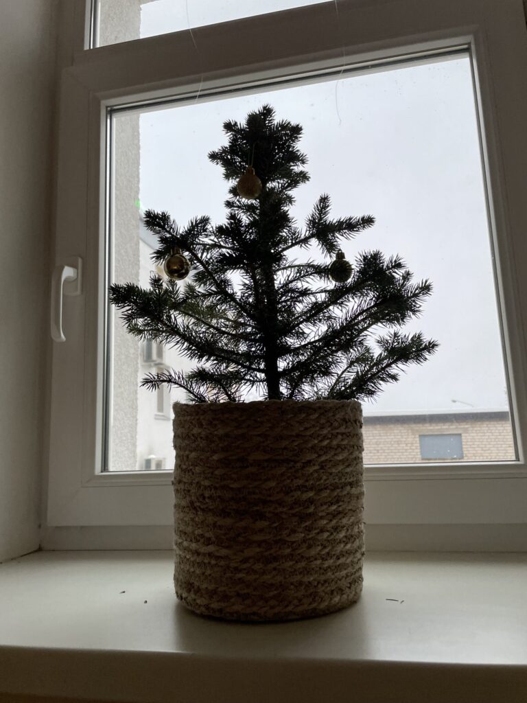 Autors: Foto: Diāna Odumiņa