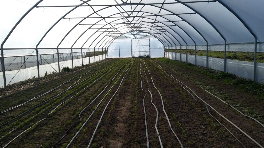 Autors: Foto: Pārsla Konrāde.