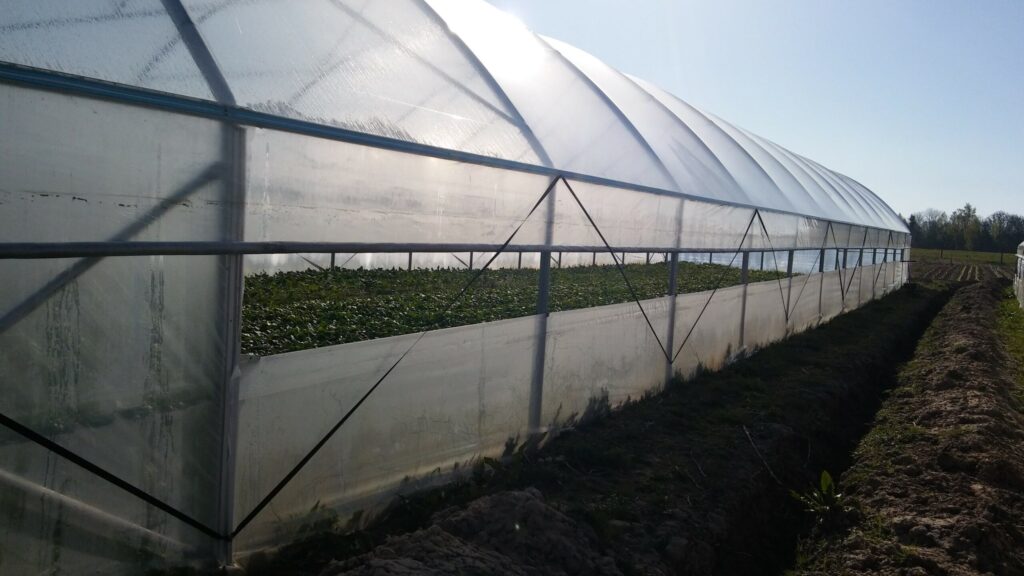 Autors: Foto: Pārsla Konrāde.