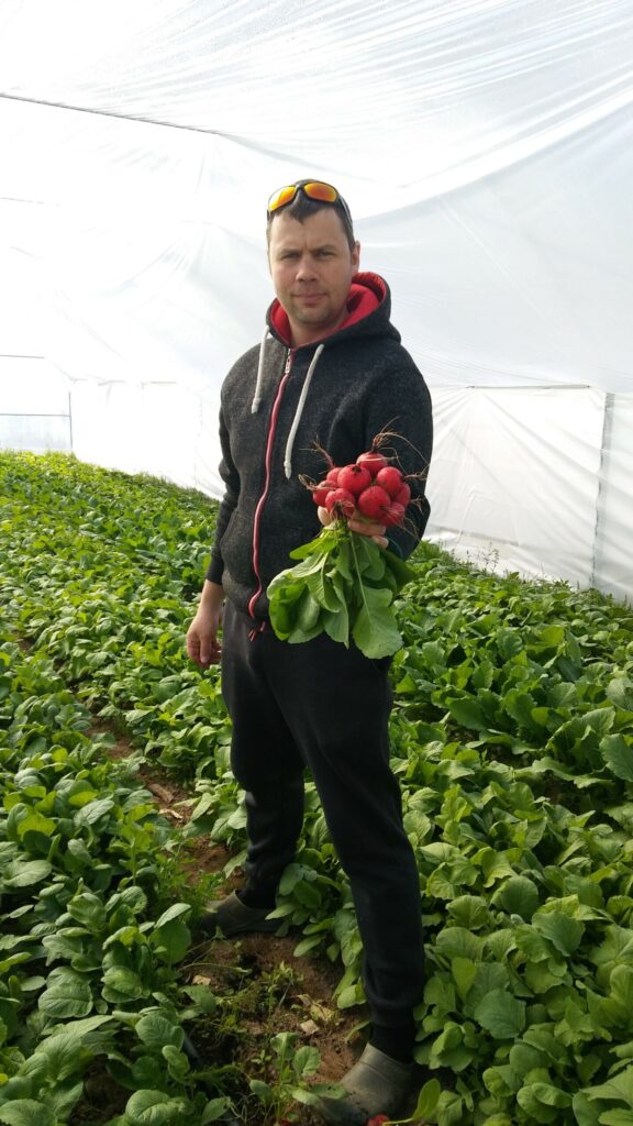 Redīsi kā uzzīmēti! Juris Lipskis piedāvā redīsus no dobes – vienādi apaļus kā krelles.
Autors: Foto: Pārsla Konrāde.