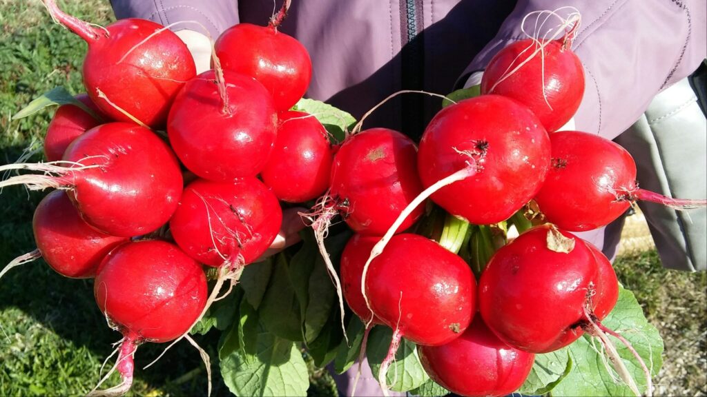 Autors: Foto: Pārsla Konrāde.