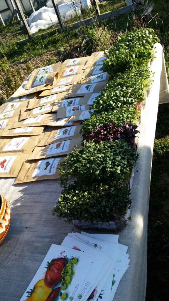 Autors: Foto: Pārsla Konrāde.