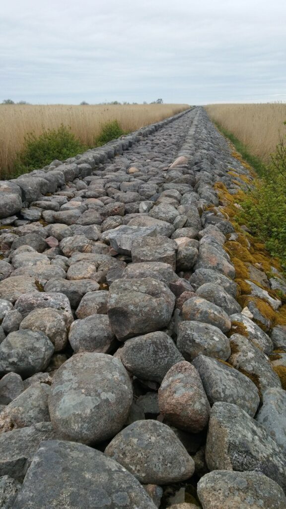 Autors: Foto: Pārsla Konrāde