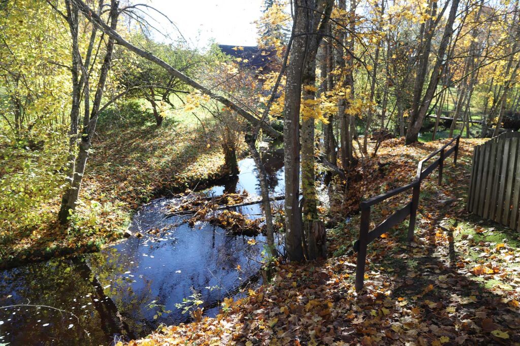 Autors: Foto: Gatis Bogdanovs