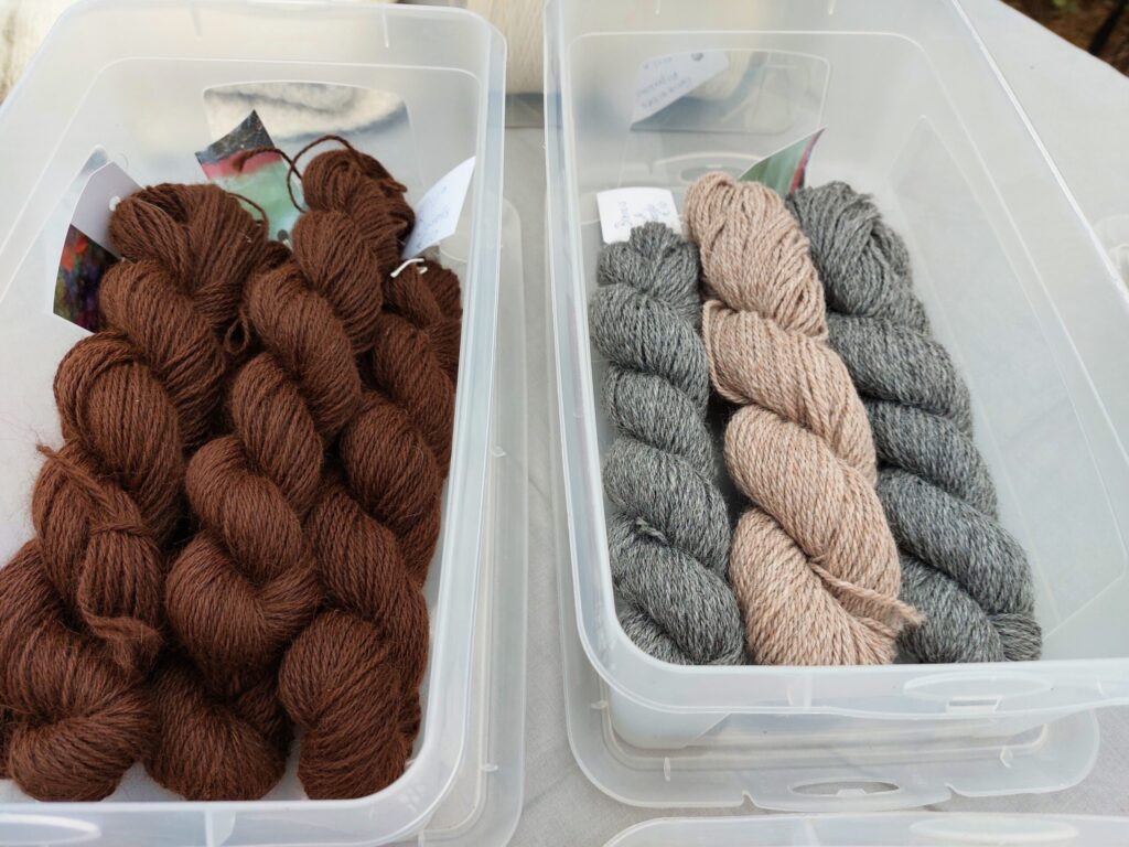 Autors: Foto: Pārsla Konrāde