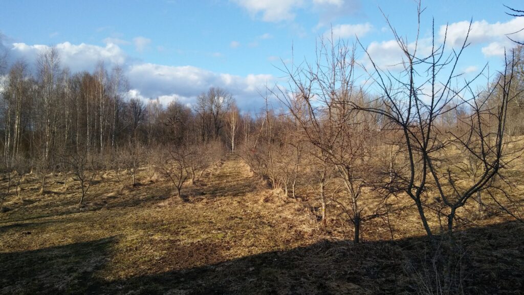 Autors: Foto: Pārsla Konrāde