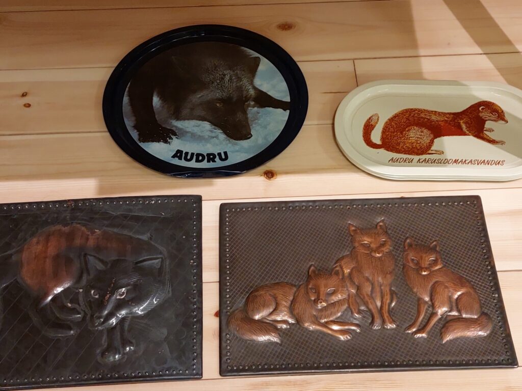 Autors: Foto: Pārsla Konrāde