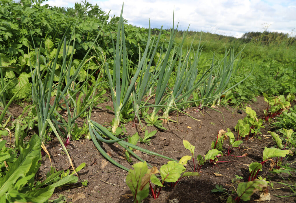 Autors: Foto: Gatis Bogdanovs