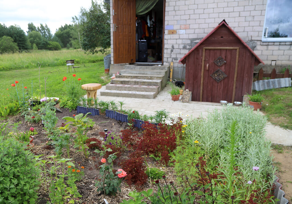 Autors: Foto: Gatis Bogdanovs