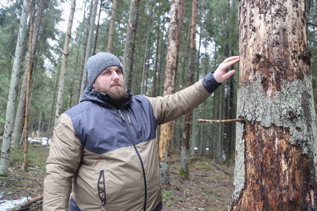 Aluksniesiem.lv raksta attēla aizvietotājs