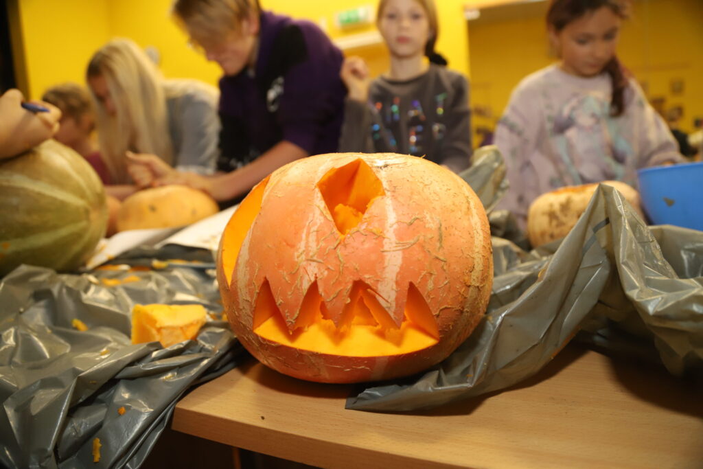 Autors: Foto: Gatis Bogdanovs