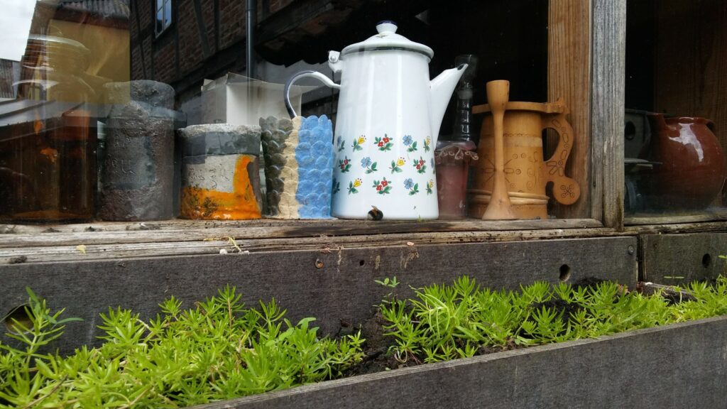 Autors: Foto: Pārsla Konrāde