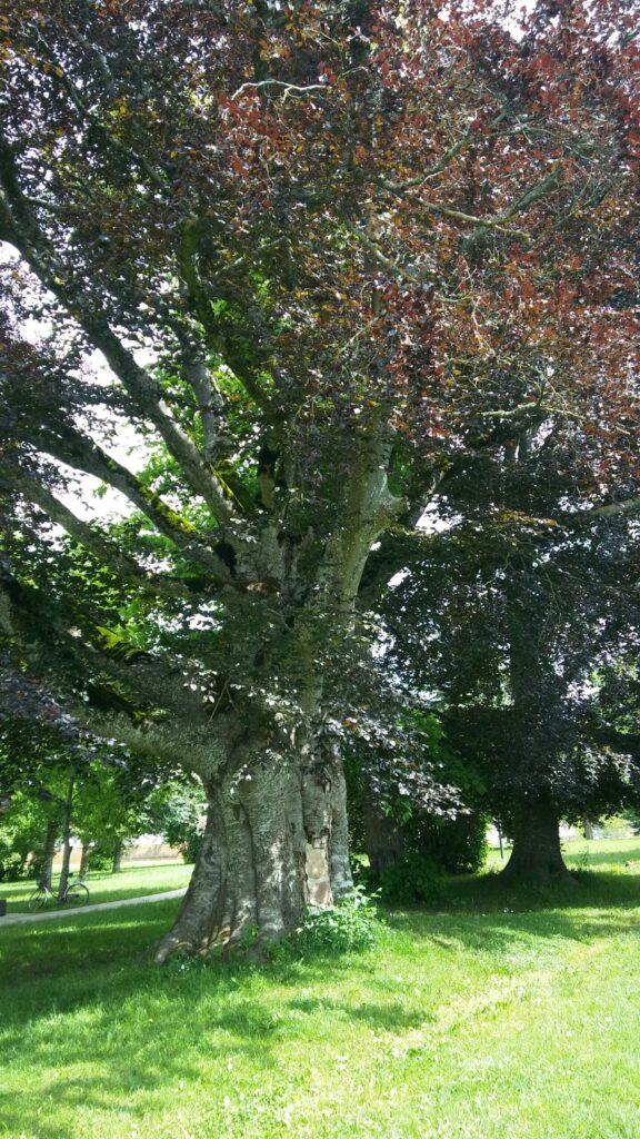 Autors: Foto: Pārsla Konrāde