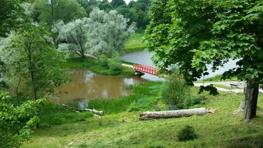 Autors: Foto: Pārsla Konrāde