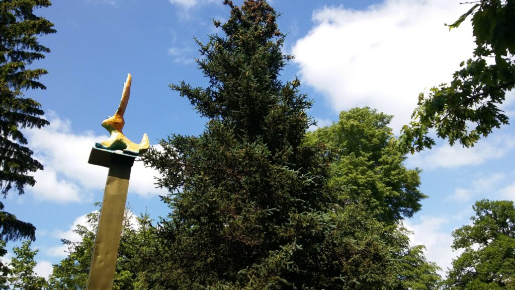 Autors: Foto: Pārsla Konrāde