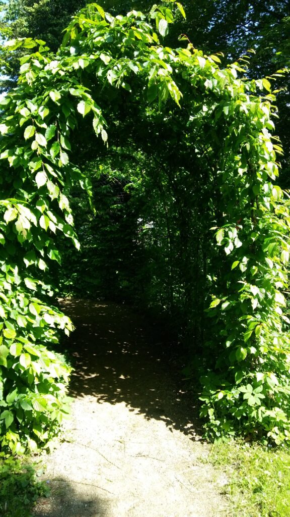 Autors: Foto: Pārsla Konrāde