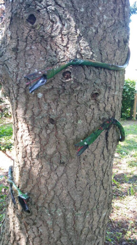 Autors: Foto: Pārsla Konrāde