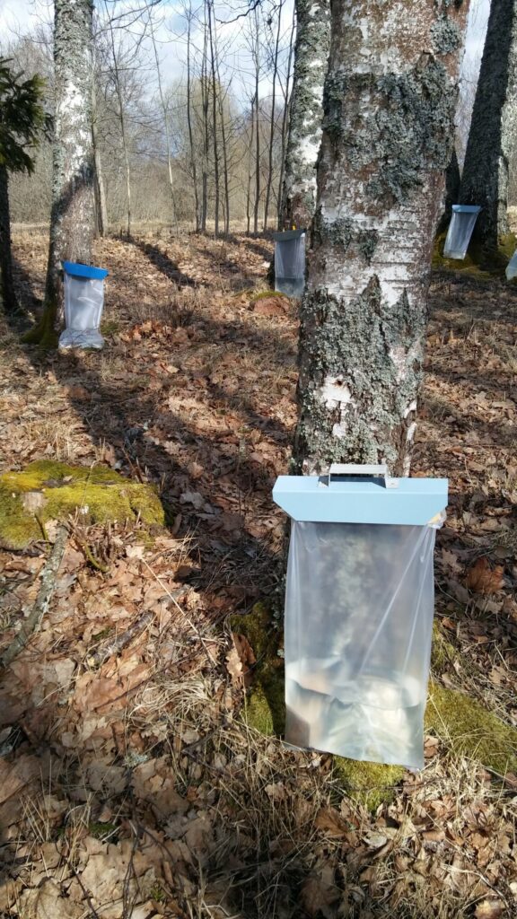 Autors: Foto: Pārsla Konrāde