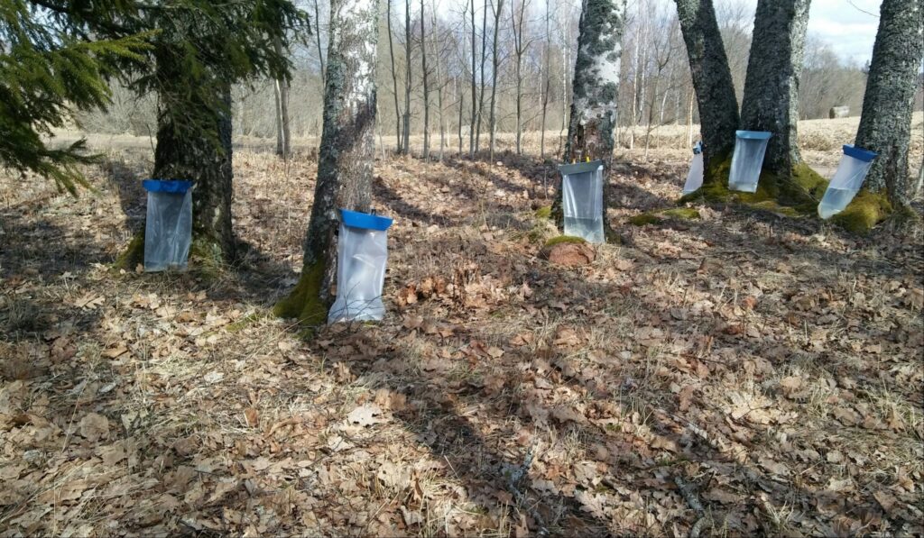 Autors: Foto: Pārsla Konrāde