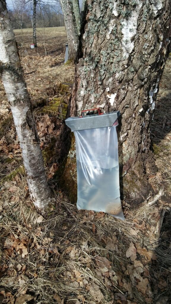 Autors: Foto: Pārsla Konrāde