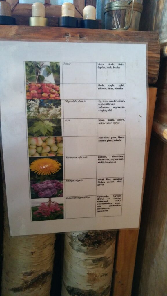 Autors: Foto: Pārsla Konrāde