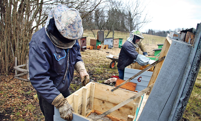Aluksniesiem.lv raksta attēla aizvietotājs