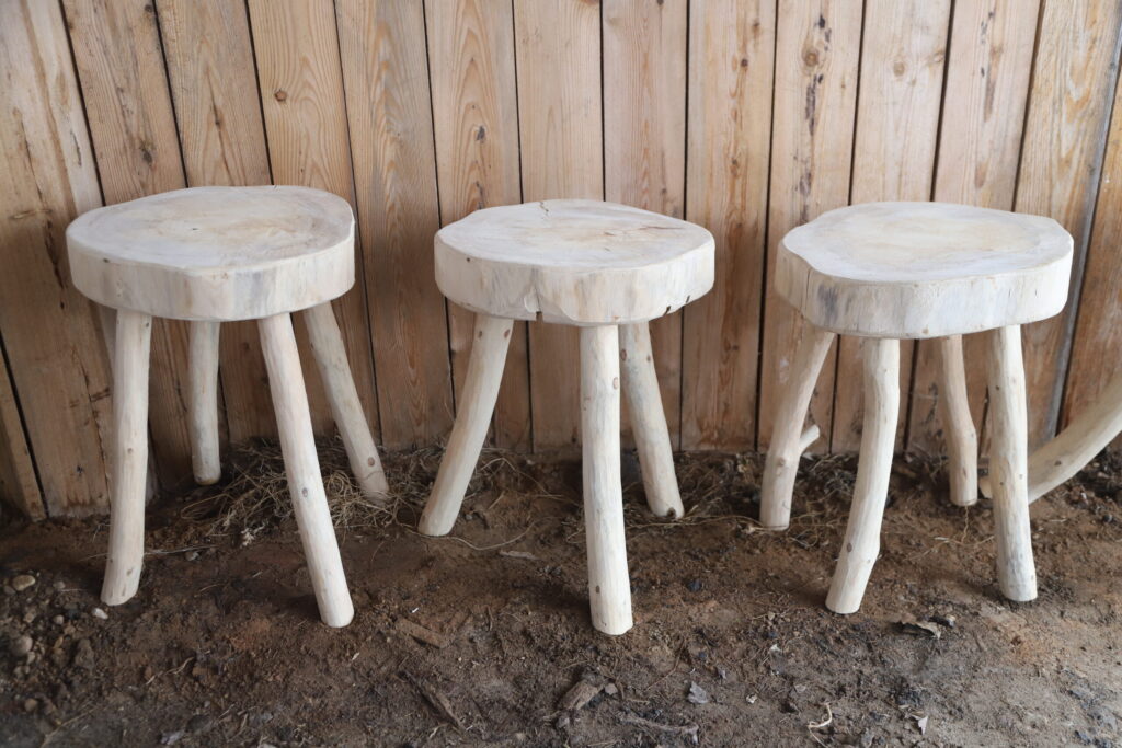 Autors: Foto: Gatis Bogdanovs