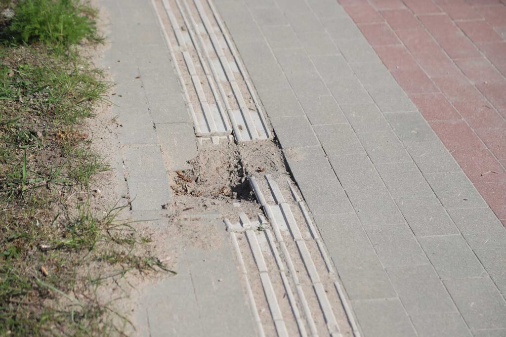 Autors: Foto: Gatis Bogdanovs