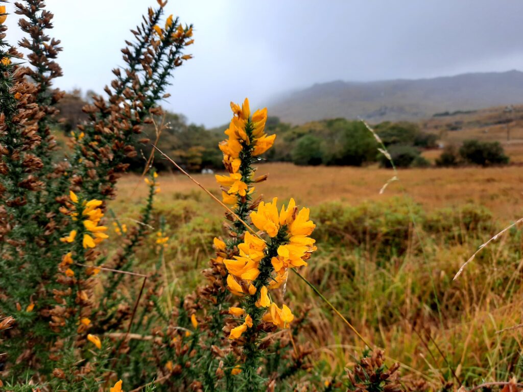 Autors: Foto: Gatis Bogdanovs