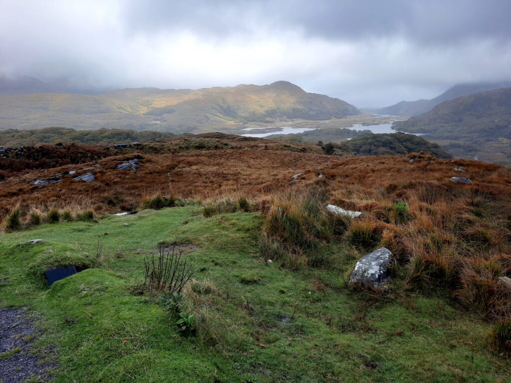 Autors: Foto: Gatis Bogdanovs