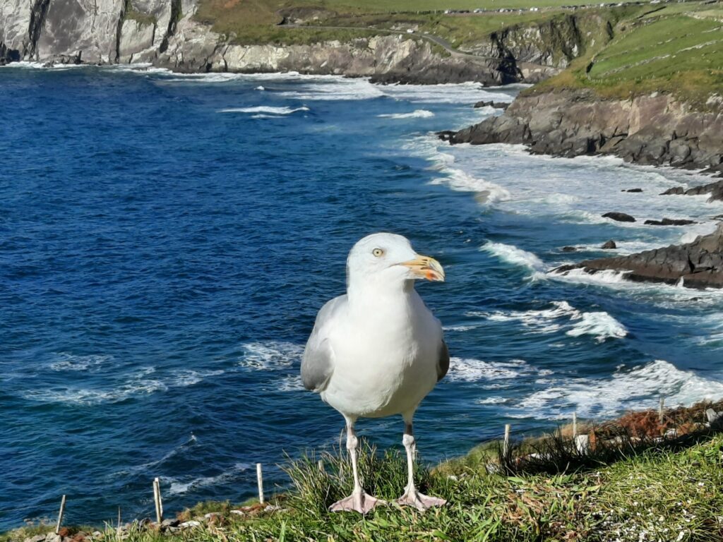Autors: Foto: Gatis Bogdanovs