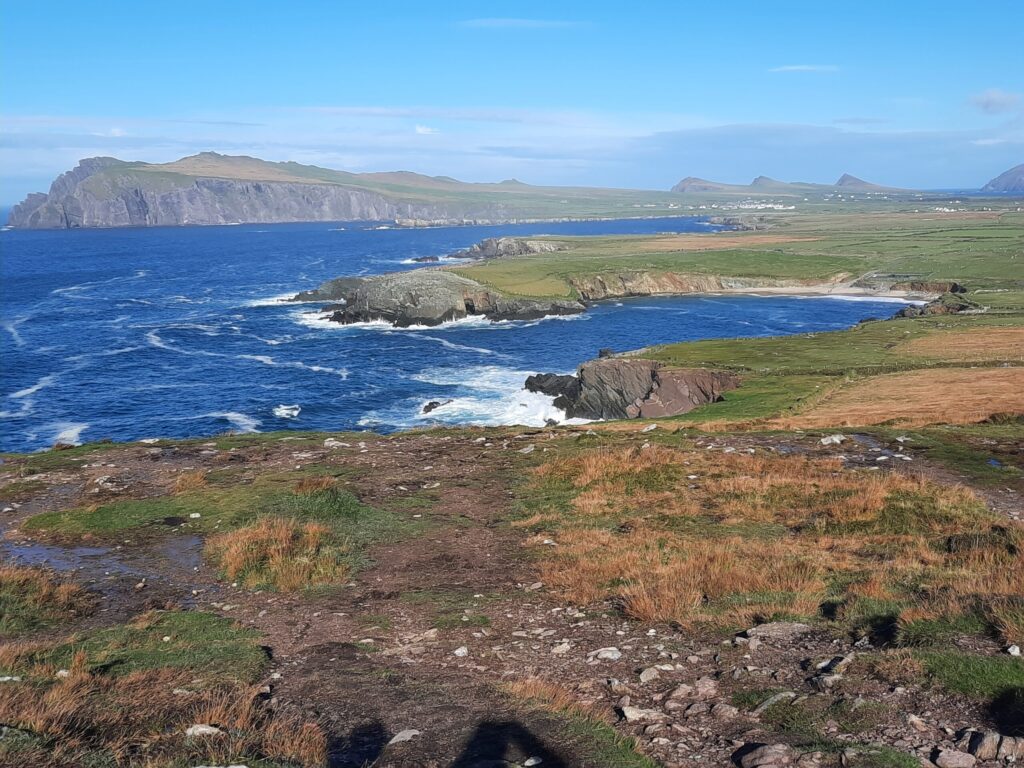 Autors: Foto: Gatis Bogdanovs