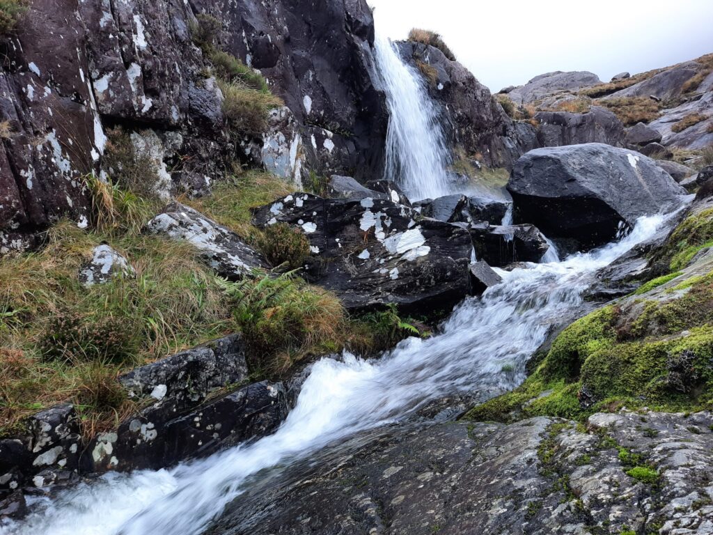 Autors: Foto: Gatis Bogdanovs