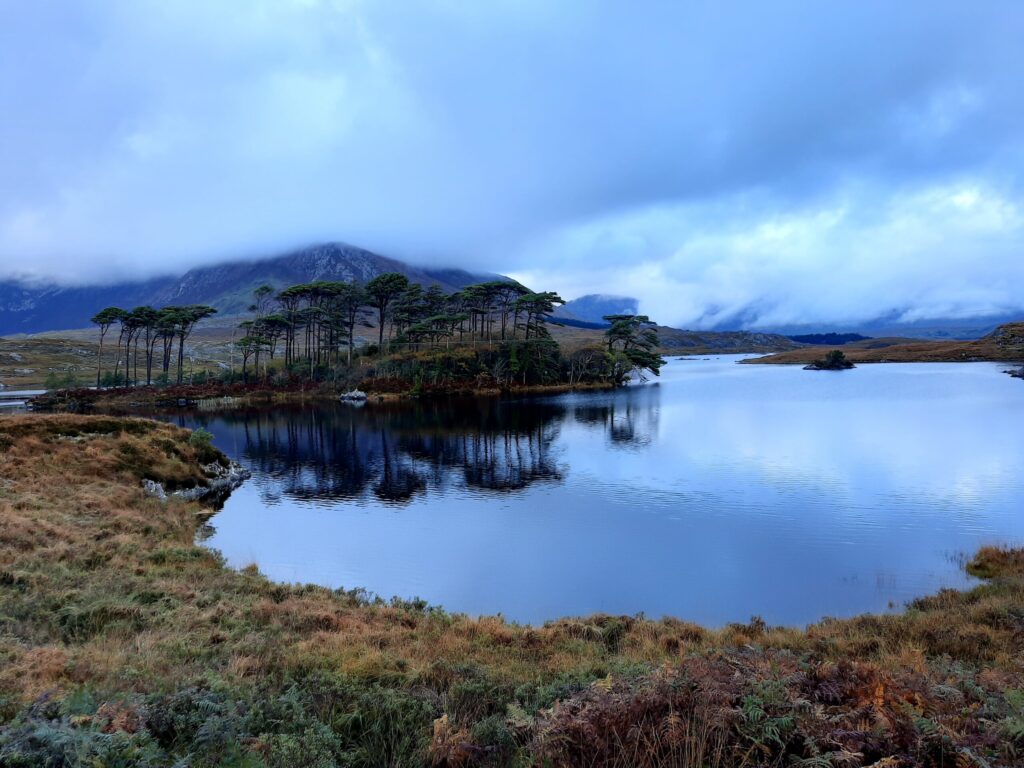 Autors: Foto: Gatis Bogdanovs